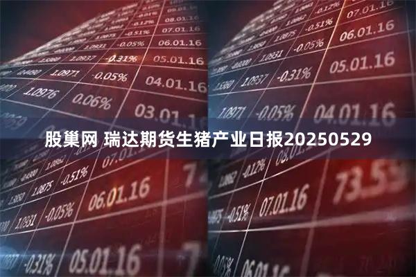 股巢网 瑞达期货生猪产业日报20250529