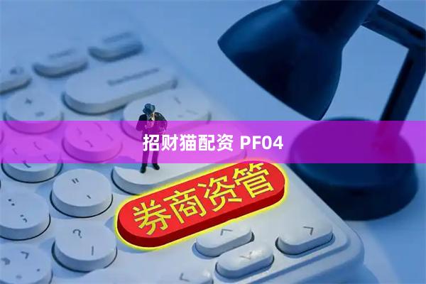 招财猫配资 PF04